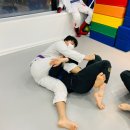 주짓수·복싱 이미지