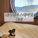 (주)홍천사료 | 애견 독채 풀빌라 펜션 &lt;풀스테이 스테이펫 홍천&gt; 🐶 내돈내산 후기