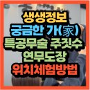 바다(家) | 생생정보 2482회 궁금한 가(家) 매일 싸우는 가족 도봉구 특공무술·주짓수 연무도장(+위치 체험예약...