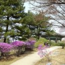 신라스크린골프 이미지