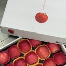 보은군 과수거점산지유통센터 | 추석선물세트 고민 끝 리더스팜 아삭달콤 사과 선물세트 추천