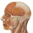 경희복조리한의원 이미지