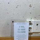 참좋은궁 이미지