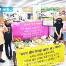 줄포초교 이미지