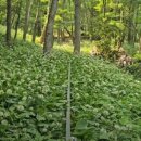 깊은내농장 이미지