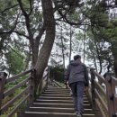 송이조각공원 입구 화장실 | 강원도 동해 가볼만한곳/추암 촛대바위/출렁다리/조각공원
