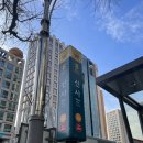 엔피케어강남 이미지