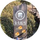민속향 | 순천 숙소 낙안민속자연휴양림 숲속의집 소나무 객실 후기