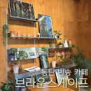 효행로1374번길 이미지