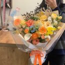 241오렌지 이미지
