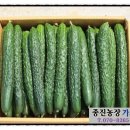 종진농장 이미지