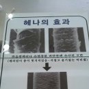 박양례헤어스튜디오