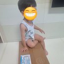 두리어린이집 | 두리 사운드 포티 유아 변기 구매 후기