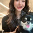 지제동삭2로 이미지