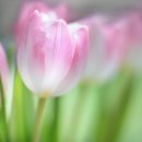 우리 늘 이미지