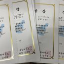 봉황태권도 이미지