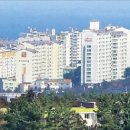 부동산제주공인중개사사무소 이미지