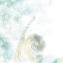 동음사 | 안산김씨 종친(종인)이 알아야 할 보학 상식