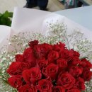 모던 데이즈 이미지