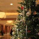 YOLO Entertainment 이미지