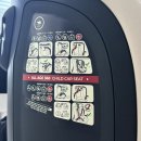 [임신] 임신 31주차 일상 / 31주차 증상 / 만삭촬영 / 카시트 추천