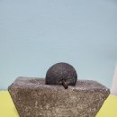 옛날 석돌 돌약연 돌약매 약절구 옛날돌 약연 골동품 판매목록 사진 자료 이미지