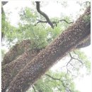 청금식당 이미지