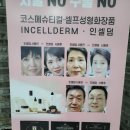 드림인셀덤 - 시흥시 비둘기공원4길 9 | 드림인셀덤