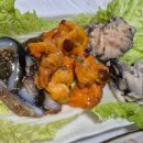 통영진다찌 네이버블로그