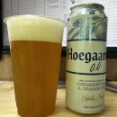 돌고래노래연습장 이미지