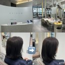 은진미용실 | 인하대미용실 클리닉 후기(은진디자이너)With알팀헤어 용현점