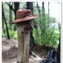 지리산둘레길 1코스 이미지