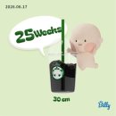 호디박스 | 임신 25주차 기록 | 출산 D-100, 차병원 임당검사 전날 식단관리, 압박스타킹 알마겔 처방