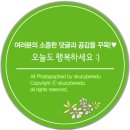 아동수학지도 이미지