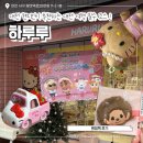 핑크언니PET샵 | 대전 여행 가볼만한곳 현지인이 추천하는 소품샵 하루루 재방문 후기 귀여운 게 더 많아짐..