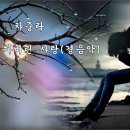 차중락 - 낙엽따라 가버린 사랑(경음악) 이미지