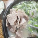 대밭골 - 함양군 | 울산 3대 돼지국밥 대밭골돼지국밥 내돈내산후기