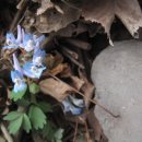 고려왕릉가는길 이미지