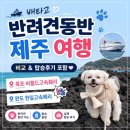 제주별서 | 반려견 동반 제주 여행,배편별 장단점과 탑승후기 포함