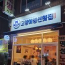 고양이생선횟집