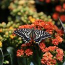 직업상담사 필기 - 노동시장론 이미지