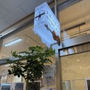 포레스트링음악학원
