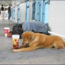 한강공일오비(015B) 이미지