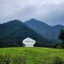 낙동강변19 이미지