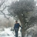 해오름주 이미지