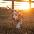 PINK GAME PC 이미지