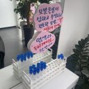 금빛칼라 이미지
