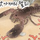 따뜻한 하루[476]■ 바닷가재의 탈피 이미지