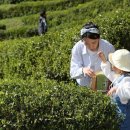 보성이네 이미지