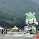 신도안면 야구장 이미지